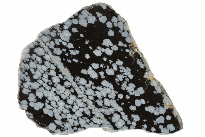 Polished Snowflake Obsidian Section - Utah #114199